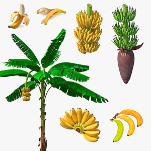 Bananas Collection 4
