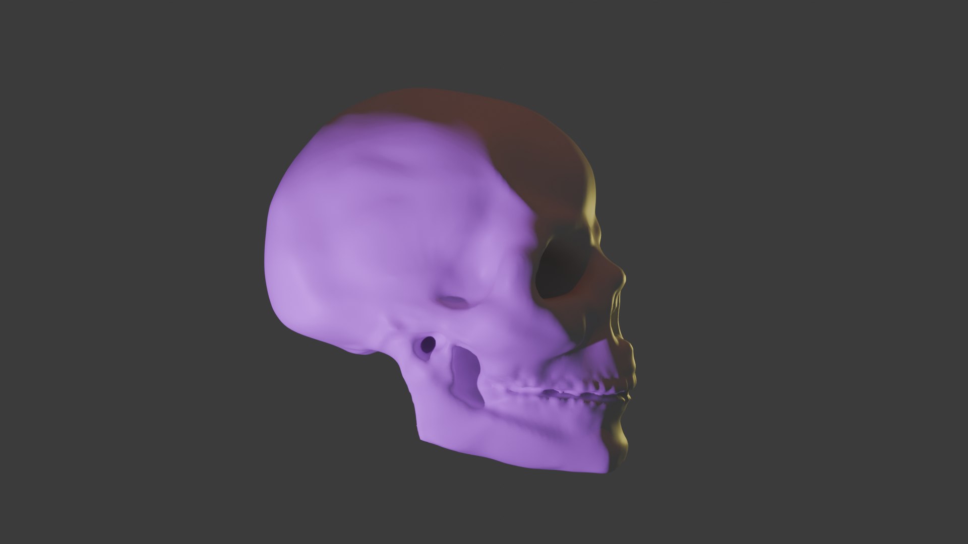 Human Skull - Low Poly Bake With UV Mapping Normal Map FBX PNG Model ...