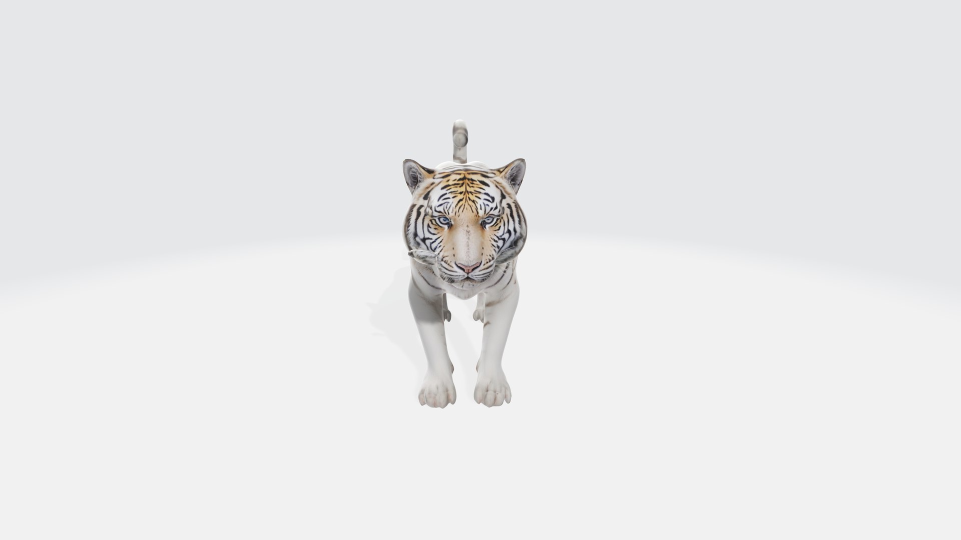 White Tiger 3D Model - Animated And Rigged 3D Model - TurboSquid 2279131