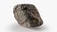 Cellules souches de la collection River Stones