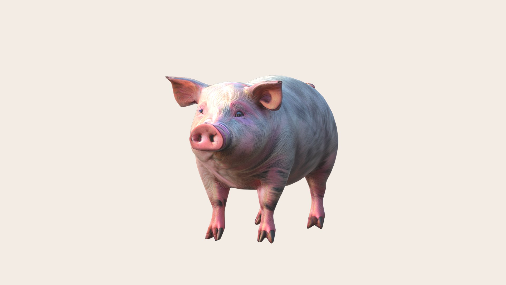 Pig 3D Model - TurboSquid 2219924