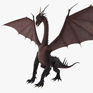 Dragon 3 Rigged