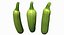 Zucchini Scan 01