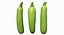 Zucchini Scan 01