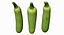 Zucchini Scan 01
