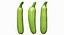 Zucchini Scan 01