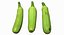 Zucchini Scan 01
