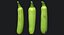 Zucchini Scan 01