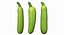Zucchini Scan 01