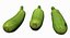 Zucchini Scan 01