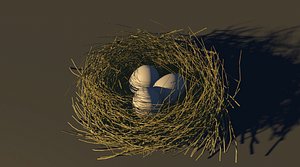3D bird nest