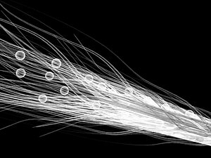 Bone Cell Matrix