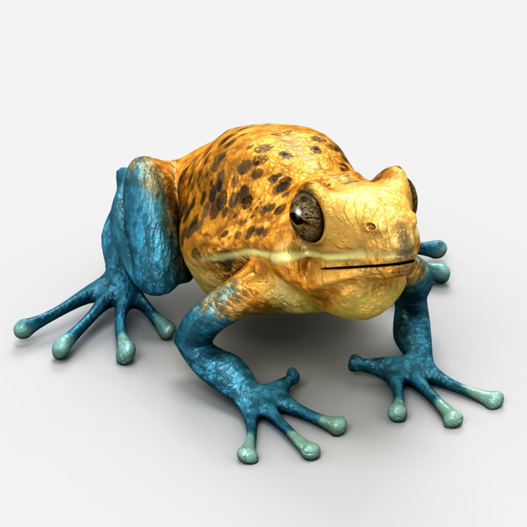 3d Model Frog