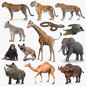 3D操纵非洲动物收集10