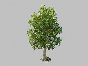 Moon Temple - Tree 04