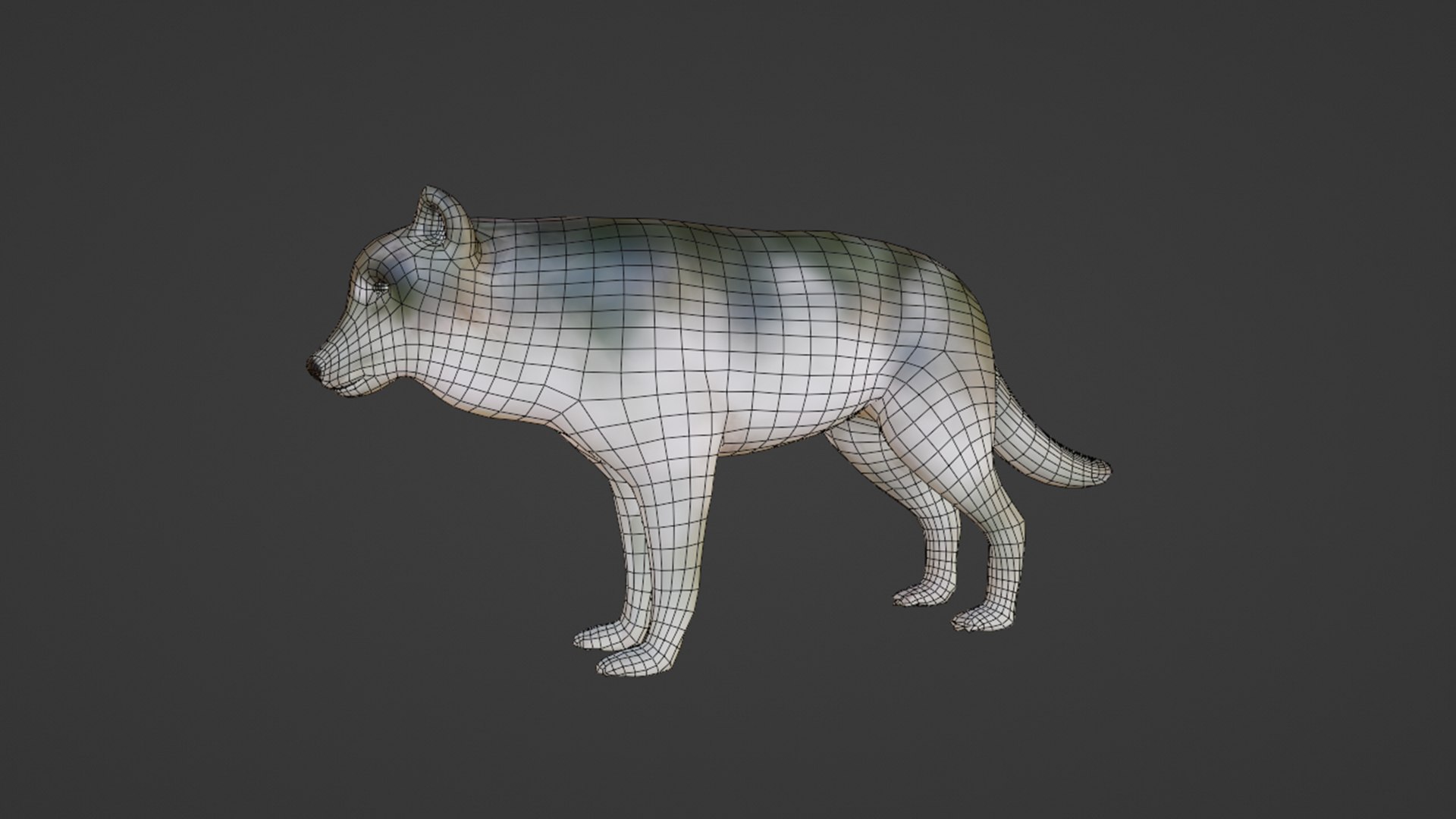 Wolf 3D Model - TurboSquid 2222309