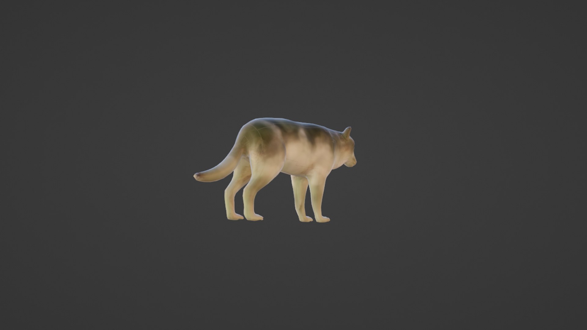 Wolf 3D Model - TurboSquid 2222309