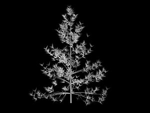 max trees
