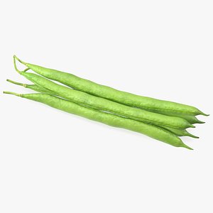 Green French Beans 3D model