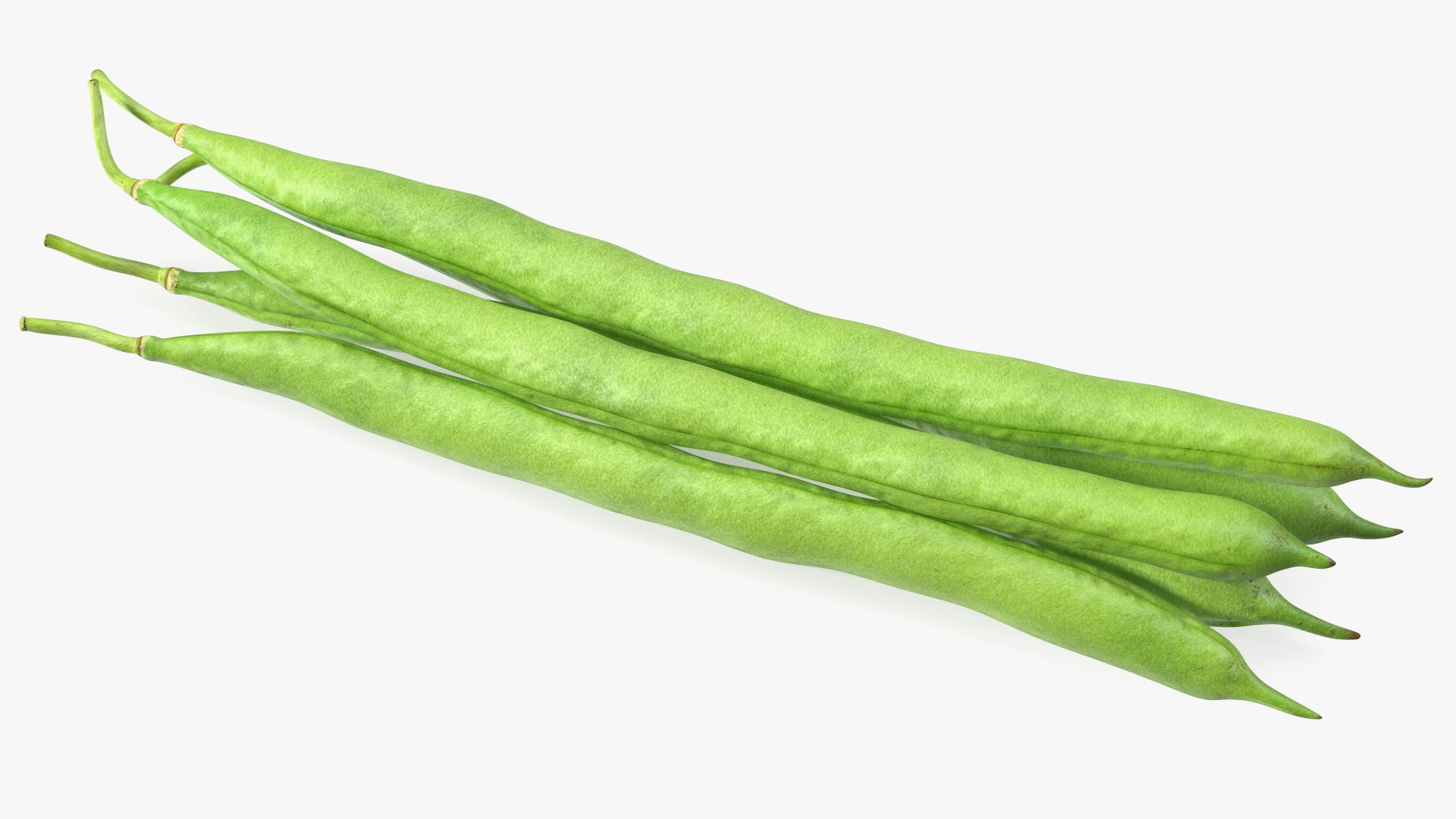 Green French Beans 3D model TurboSquid 2004699