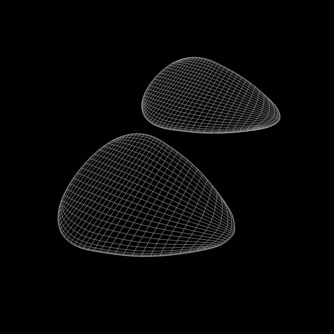 2 plectrums 3d 3ds