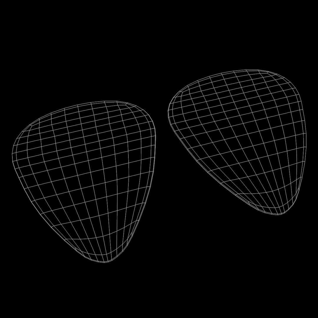 2 plectrums 3d 3ds
