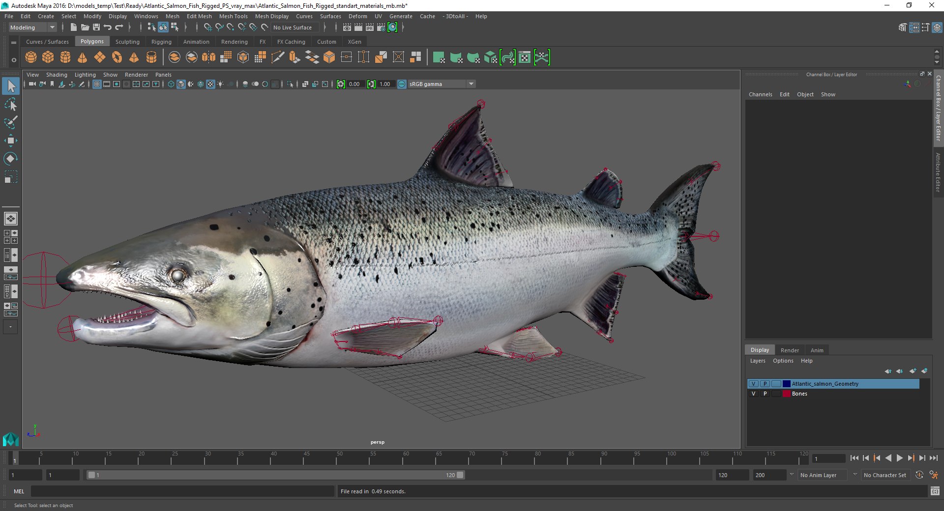 3D rigged fishes 5 https://p.turbosquid.com/ts-thumb/qr/PEb2jI/9ykq6AU3/atlantic_salmon_fish_rigged_mb_01/jpg/1596443396/1920x1080/fit_q87/b2dfa90e415c7af5647ff3890d323734880dbebe/atlantic_salmon_fish_rigged_mb_01.jpg