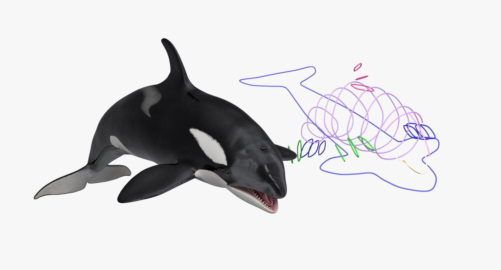 3D rigged fishes 5 https://p.turbosquid.com/ts-thumb/qr/PEb2jI/E5iT6Odq/riggedfishescollection5c4dmodel022/jpg/1595419056/1920x1080/fit_q87/3264290bf75fb1ce439475ab4f1ee17f3ff06471/riggedfishescollection5c4dmodel022.jpg