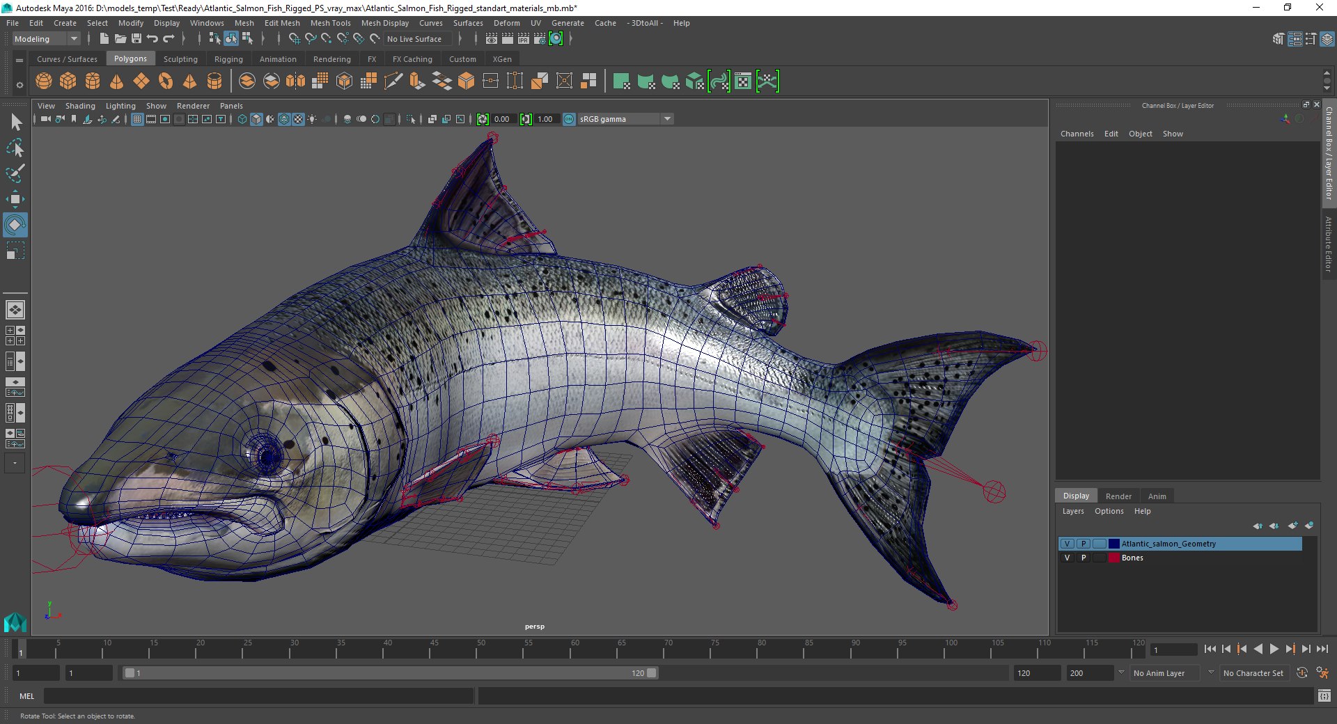 3D rigged fishes 5 https://p.turbosquid.com/ts-thumb/qr/PEb2jI/ErpKYmh6/atlantic_salmon_fish_rigged_mb_04/jpg/1596443404/1920x1080/fit_q87/b37d00ded36d58a7a67c7fab8094a3bf07e88bc3/atlantic_salmon_fish_rigged_mb_04.jpg