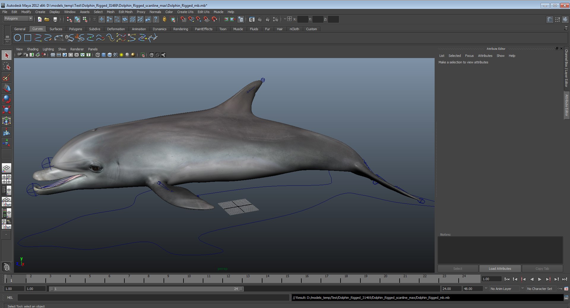 3D rigged fishes 5 https://p.turbosquid.com/ts-thumb/qr/PEb2jI/SiCPnhxF/dolphinriggedmaya3dmodel21/jpg/1596443423/1920x1080/fit_q87/49fa1654eade1b91e12b8aac1a8e04a6b0a4ffab/dolphinriggedmaya3dmodel21.jpg