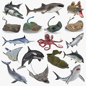 Rigged Fishes Collection 5 for Maya