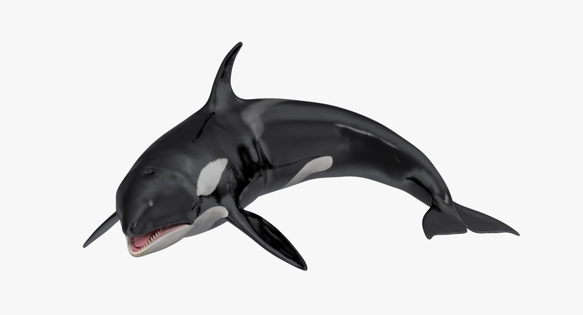 3D rigged fishes 5 https://p.turbosquid.com/ts-thumb/qr/PEb2jI/dxKCXmsZ/riggedfishescollection5c4dmodel019/jpg/1595419049/1920x1080/fit_q87/c8ad60ce6b7087ccbd43d422fc1ec9361dd3647f/riggedfishescollection5c4dmodel019.jpg