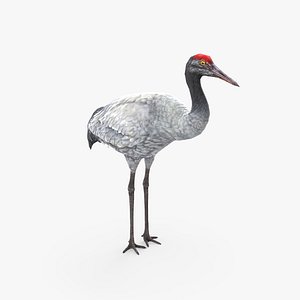 Crane Bird Low Poly