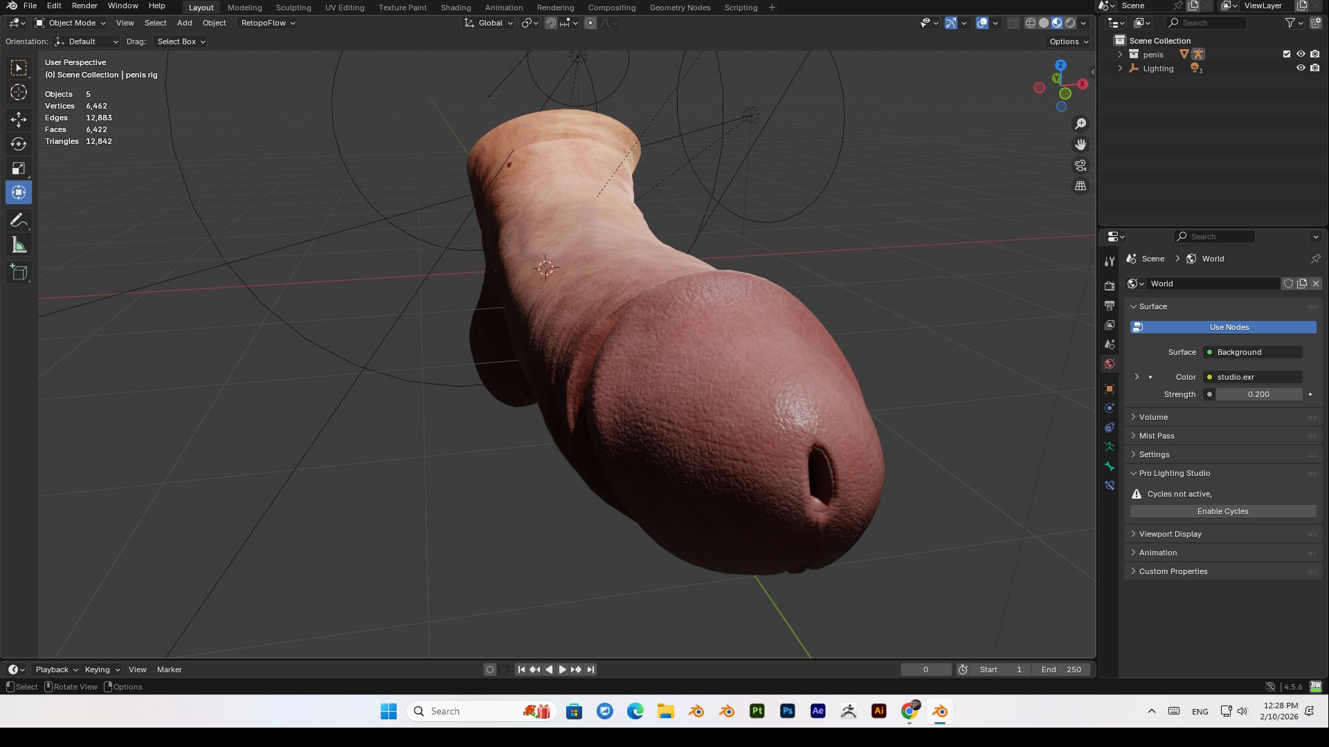 3D Realistic Penis PBR 4K High Details Rigged https://p.turbosquid.com/ts-thumb/qr/XcJWe7/Wz/bandicam20260210122803468/jpg/1770702858/1920x1080/fit_q87/df69c44f2b025ad32c3a1756c09b78368c0e6cdb/bandicam20260210122803468.jpg