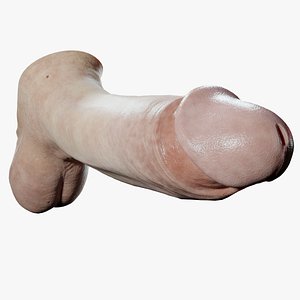 3D Realistic Penis PBR 4K High Details Rigged