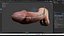 Pênis realista PBR 4K de alta qualidade e com rigging.