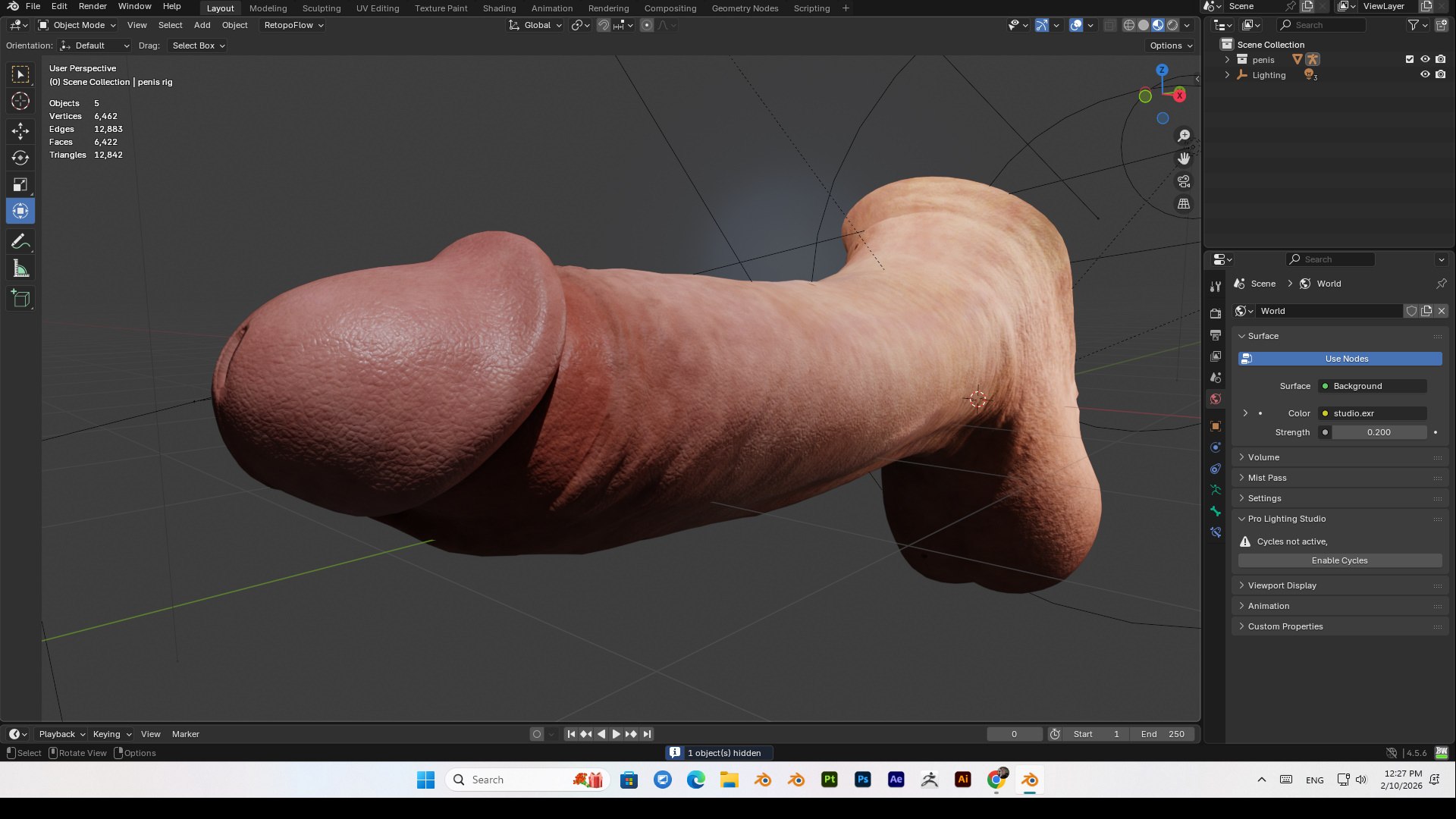 3D Realistic Penis PBR 4K High Details Rigged https://p.turbosquid.com/ts-thumb/qr/XcJWe7/w1/bandicam20260210122800609/jpg/1770702861/1920x1080/fit_q87/510d169a3d6c0e4575d921873443ba59bb14df5e/bandicam20260210122800609.jpg