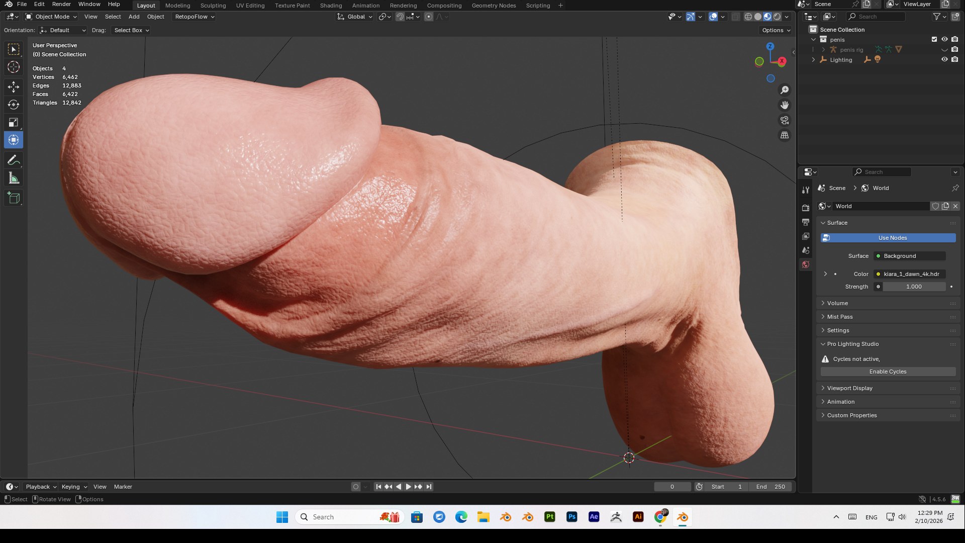 3D Realistic Penis PBR 4K High Details Rigged https://p.turbosquid.com/ts-thumb/qr/XcJWe7/xv/bandicam20260210122956082/jpg/1770702852/1920x1080/fit_q87/5546f40cccfc1135ba8324ccb476cd13831612cc/bandicam20260210122956082.jpg