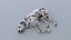 dog dalmatian rigged animation 3D model