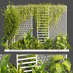 Collection plant vol 382 - Urban environment - wall yard - leaf - bush - ivy - - blender - 3dmax - c 3D model