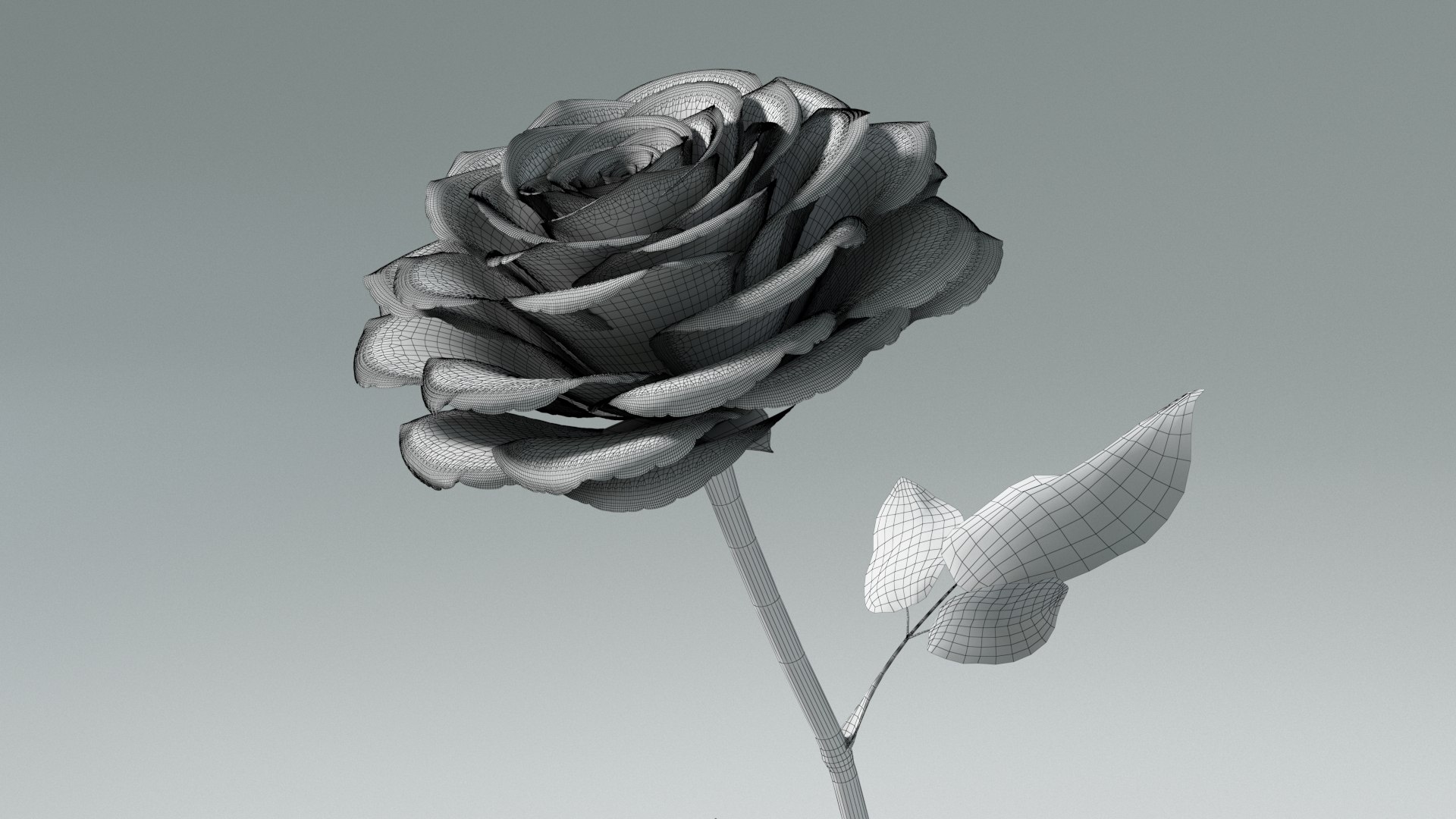 3D model Hyperreal Rose Flower Animated https://p.turbosquid.com/ts-thumb/qr/j35Rm8/0J/rose_animated_wf_05/jpg/1772105765/1920x1080/fit_q87/348b1bfd83d5ad771149c8fb24668adb5af05b96/rose_animated_wf_05.jpg