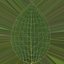 Hyperreal Rose Flower Animated
