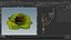 Hyperreal Rose Flower Animated