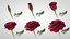 Hyperreal Rose Flower Animated