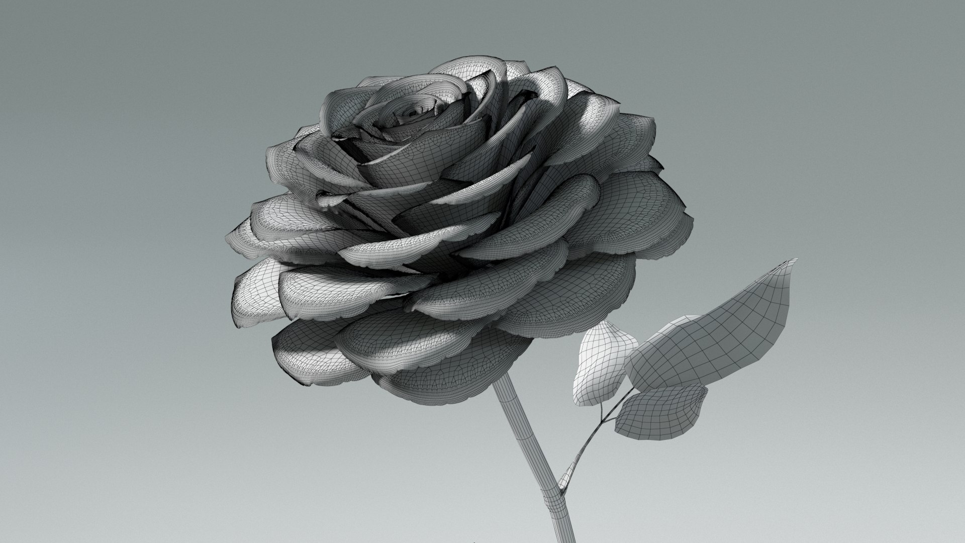 3D model Hyperreal Rose Flower Animated https://p.turbosquid.com/ts-thumb/qr/j35Rm8/Ch/rose_animated_wf_06/jpg/1772105767/1920x1080/fit_q87/1ce4a36e7a56c90d00649e0082881d870e800b64/rose_animated_wf_06.jpg