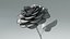 Hyperreal Rose Flower Animated