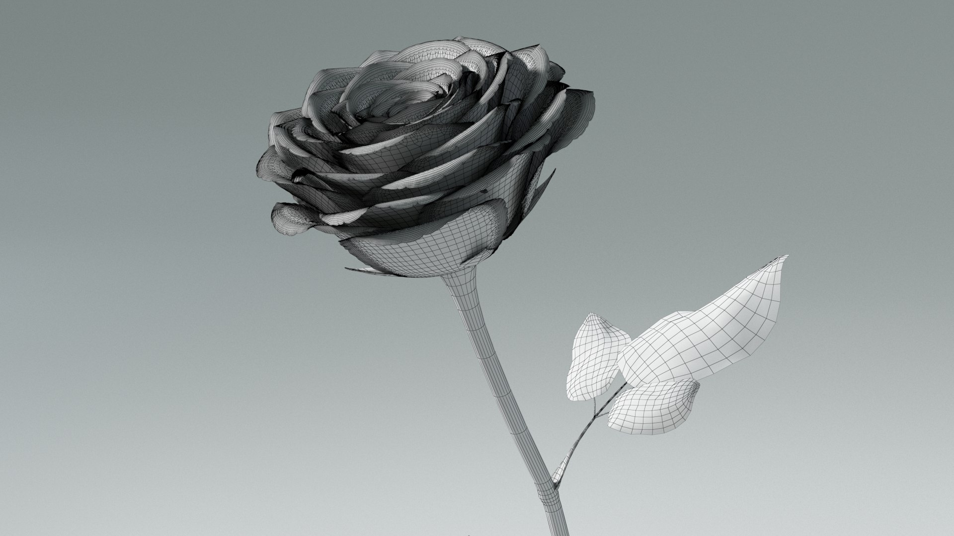 3D model Hyperreal Rose Flower Animated https://p.turbosquid.com/ts-thumb/qr/j35Rm8/O2/rose_animated_wf_04/jpg/1772105764/1920x1080/fit_q87/a62006bf069dec4fcfb62830988266ec8afe840f/rose_animated_wf_04.jpg