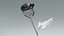 Hyperreal Rose Flower Animated