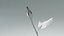 Hyperreal Rose Flower Animated