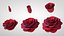Hyperreal Rose Flower Animated